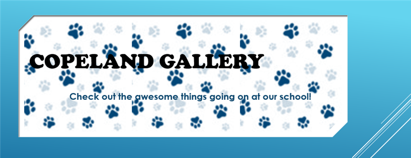 gallery banner